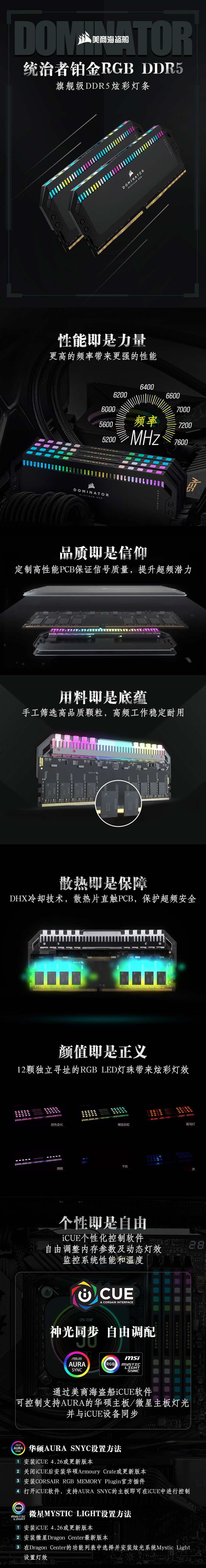 DDR5統(tǒng)治者RGB黑